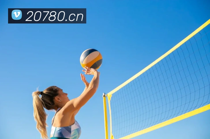 问鼎在线登录入口APP 封面图